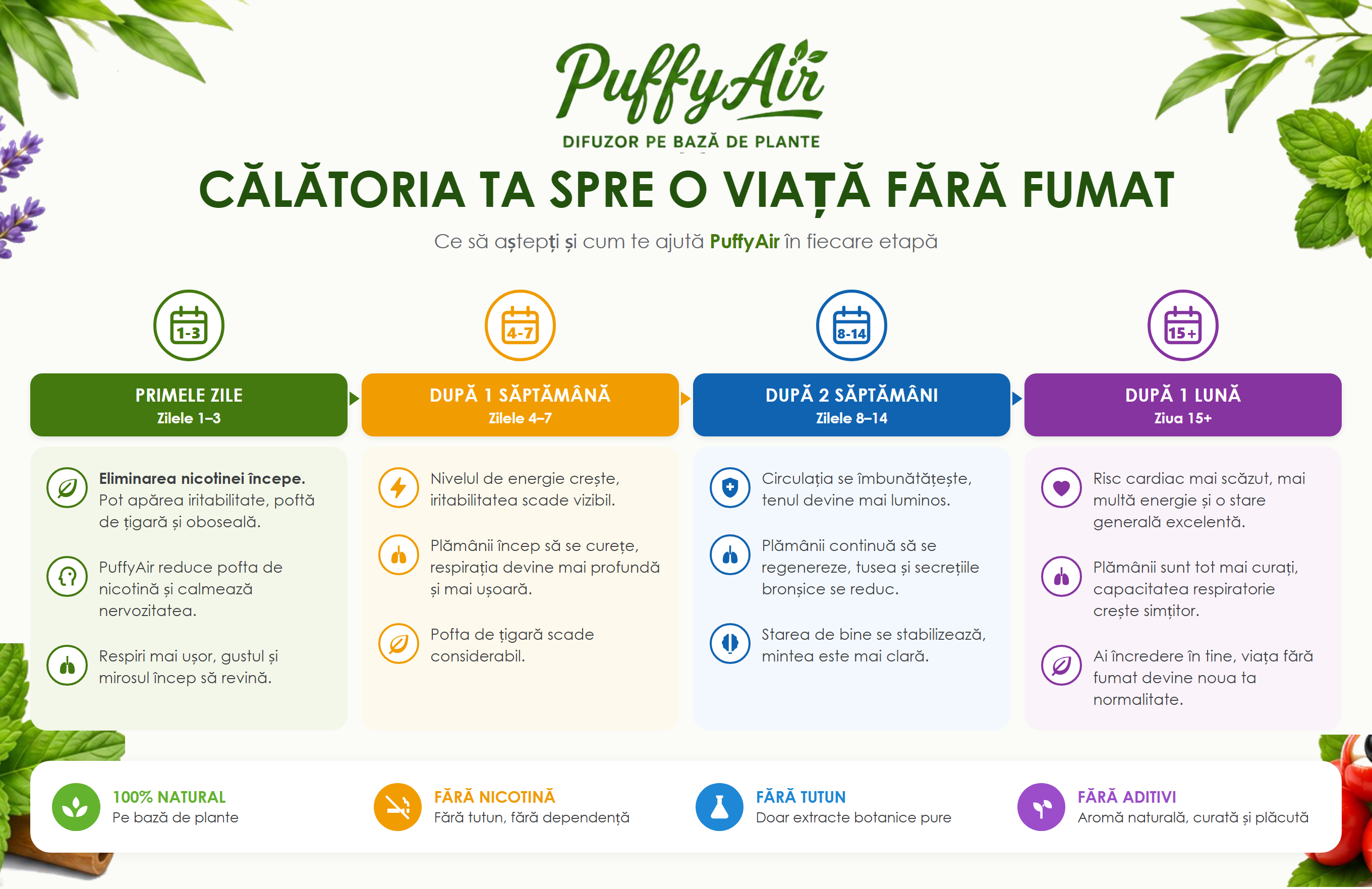 Călătoria ta spre o viață fără fumat: ce să aștepți în primele zile, după o săptămână, după două săptămâni și după o lună.