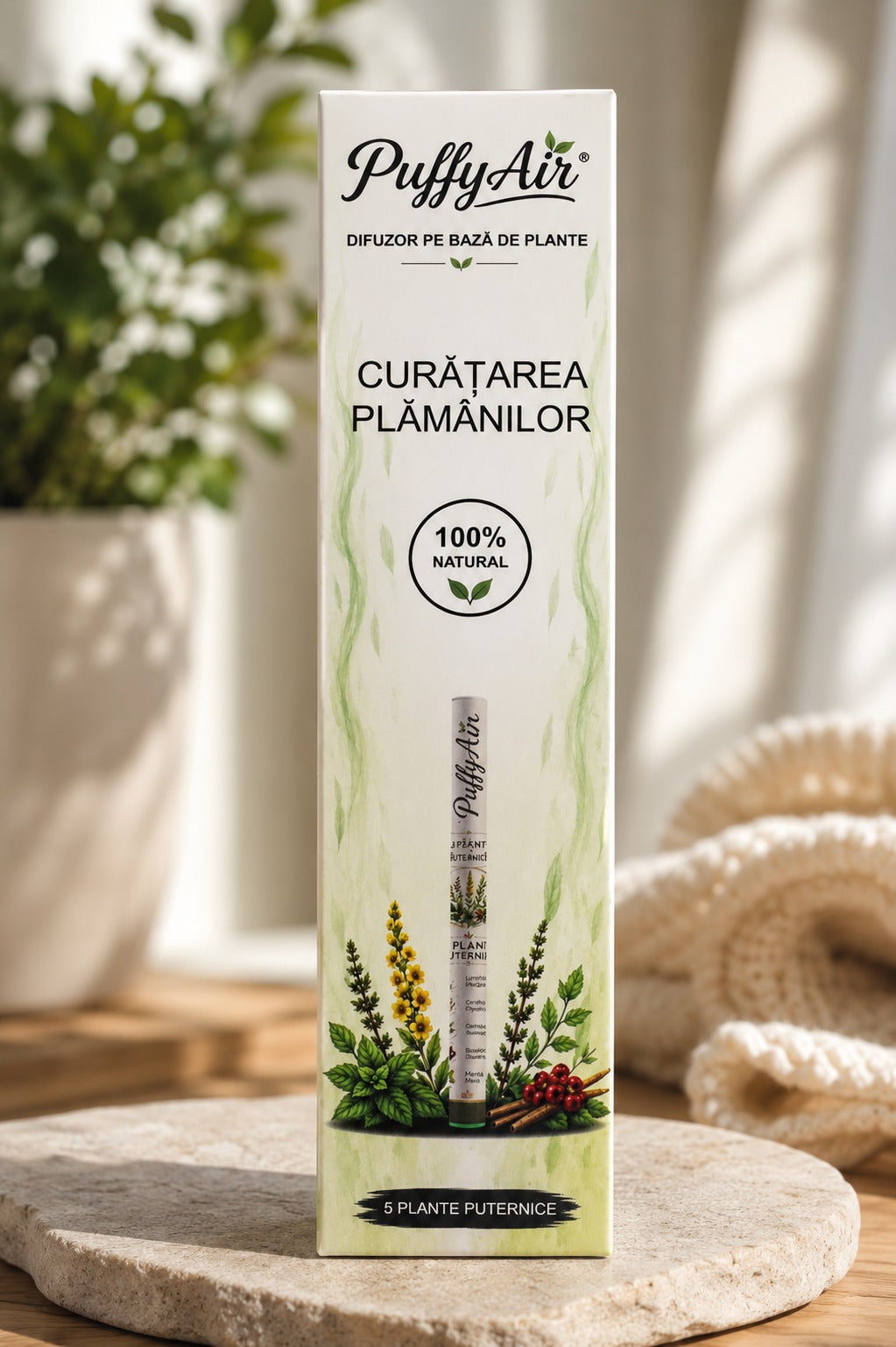 Cutia PuffyAir pe un blat de piatră, lângă o plantă verde